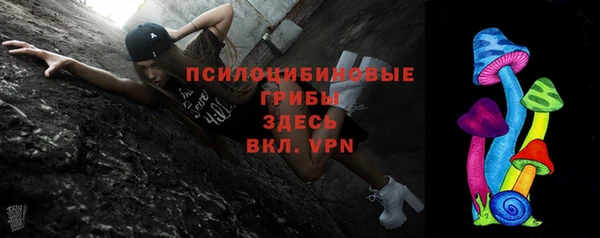 прущие грибы Володарск