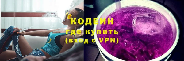 прущие грибы Володарск