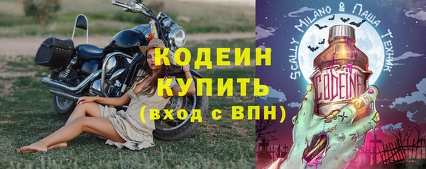 прущие грибы Володарск
