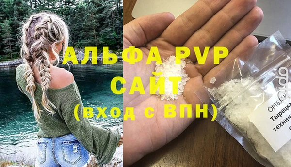 прущие грибы Володарск