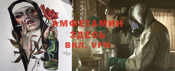 прущие грибы Володарск