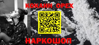 apvp Аша
