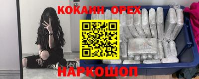 apvp Аша