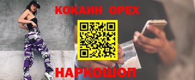 apvp Аша