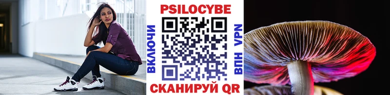Галлюциногенные грибы Psilocybine cubensis  Снежинск 
