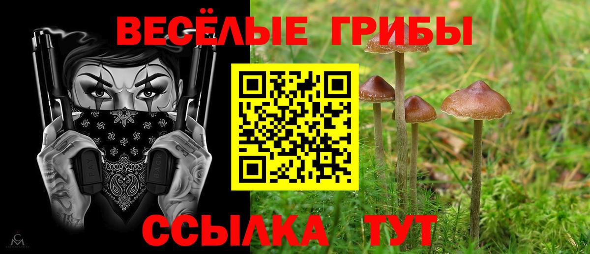 Галлюциногенные грибы ЛСД Снежинск